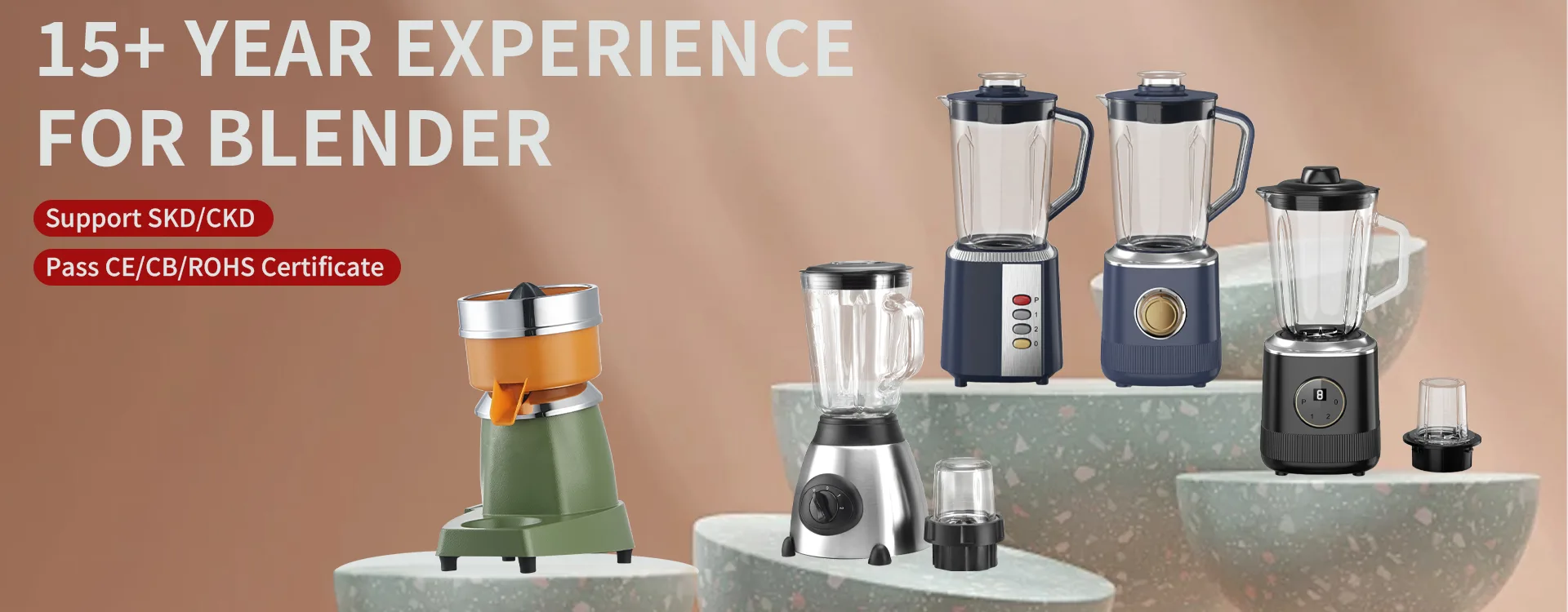 Household Blender/Juicer